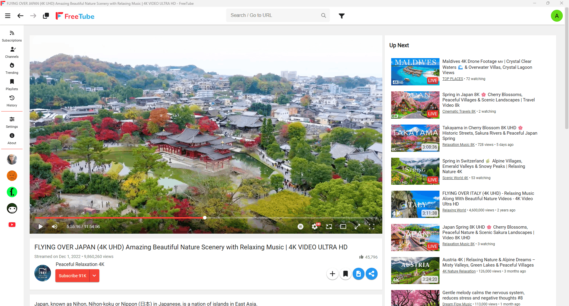 FreeTube功能