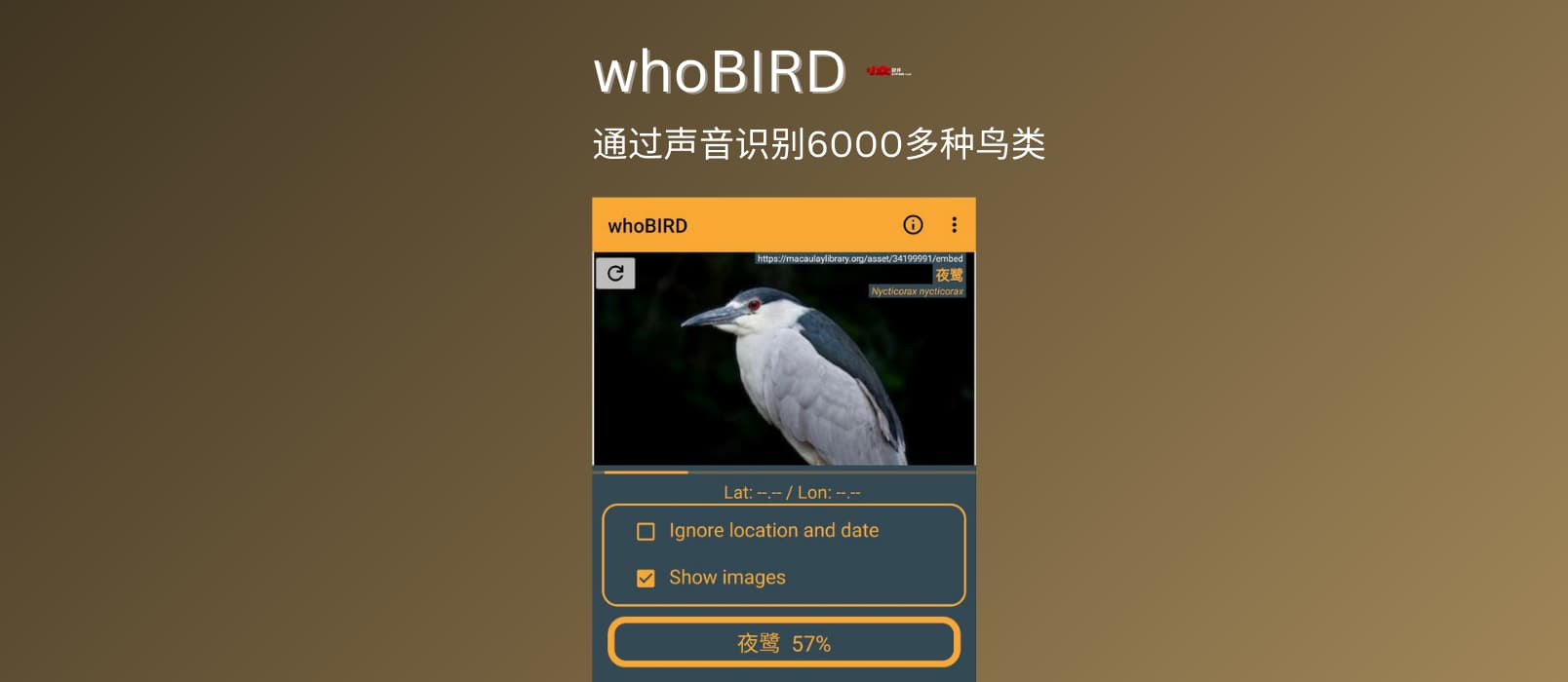 whoBIRD界面