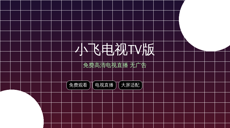 小飞电视封面图