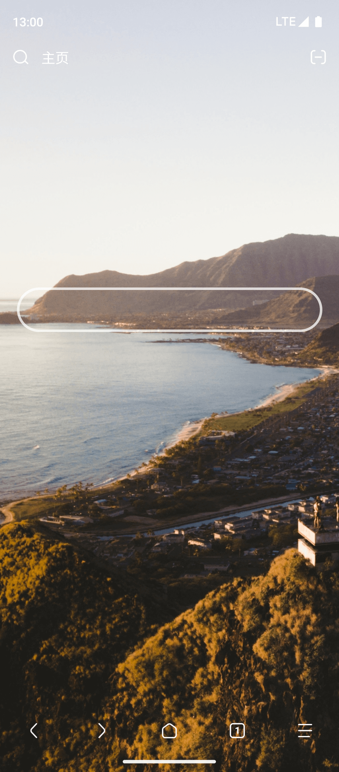 Via浏览器功能