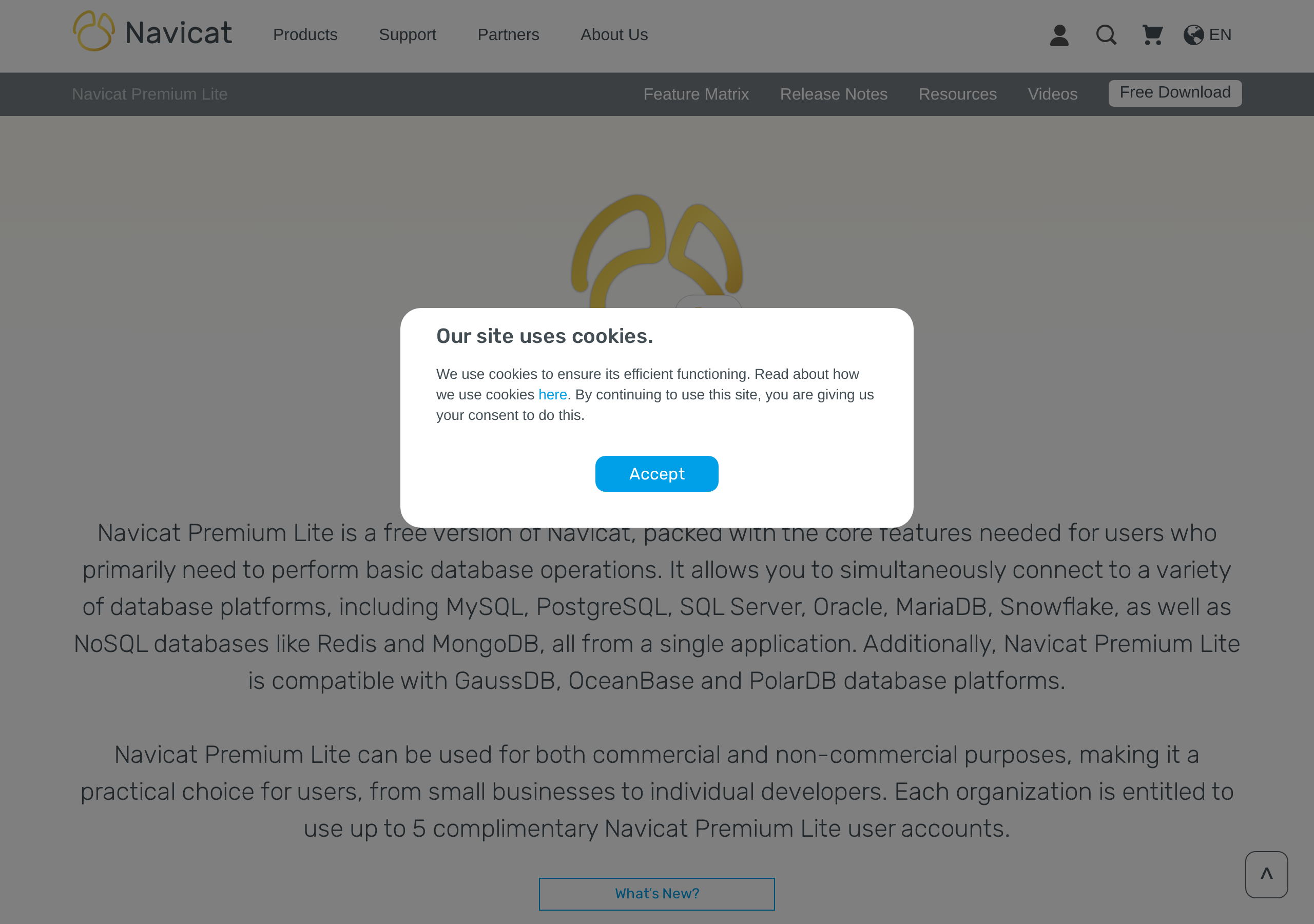 Navicat Premium Lite 界面截图