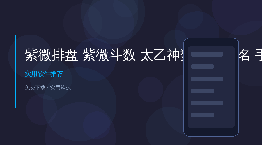 紫微排盘命理工具合集 资源封面